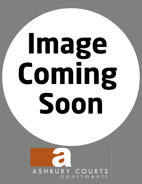 a white circle with the text image coming soon